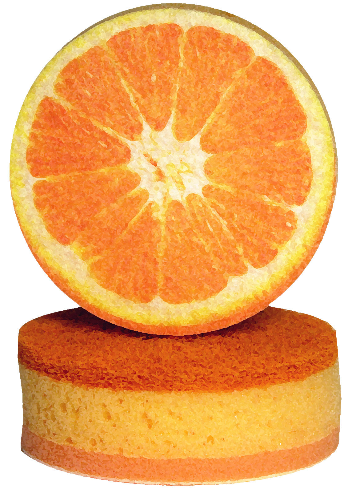 647 Orange Fruit Design Sponges